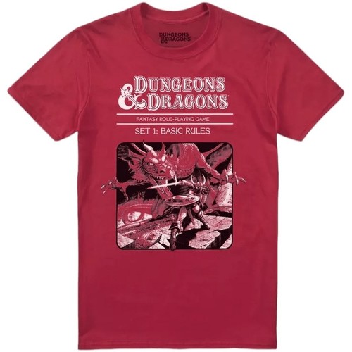 Vêtements Homme T-shirts manches longues Dungeons & Dragons Basic Rules Rouge