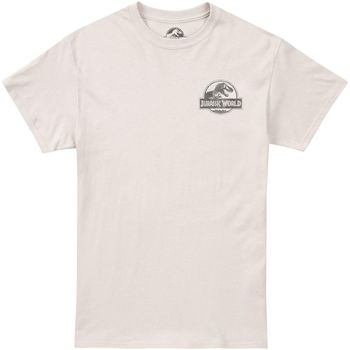 Vêtements Homme T-shirts manches longues Jurassic Park  Beige