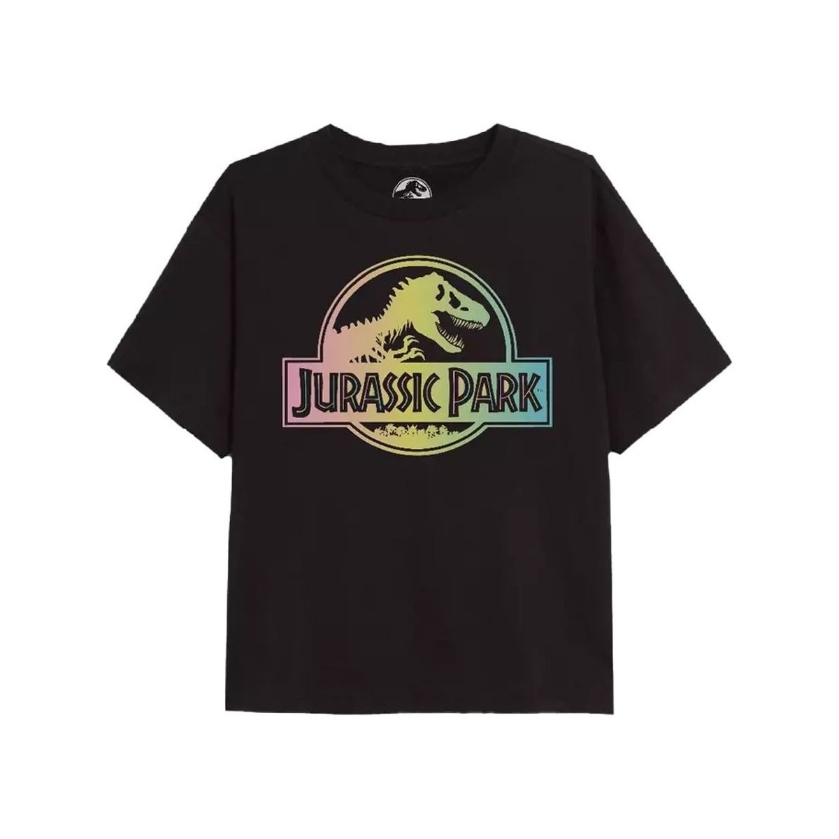 Vêtements Fille T-shirts manches longues Jurassic Park  Noir