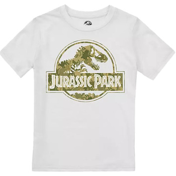 Vêtements Garçon T-shirts manches longues Jurassic Park  Vert