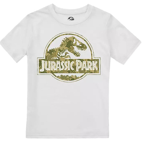 Vêtements Garçon T-shirts manches longues Jurassic Park Dino Camo Vert