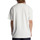 Vêtements Homme T-shirts manches courtes DC Shoes DC 1994 Blanc