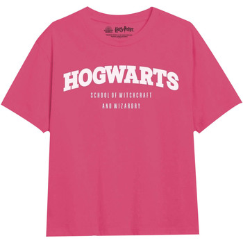 Vêtements Fille T-shirts manches longues Harry Potter  Multicolore