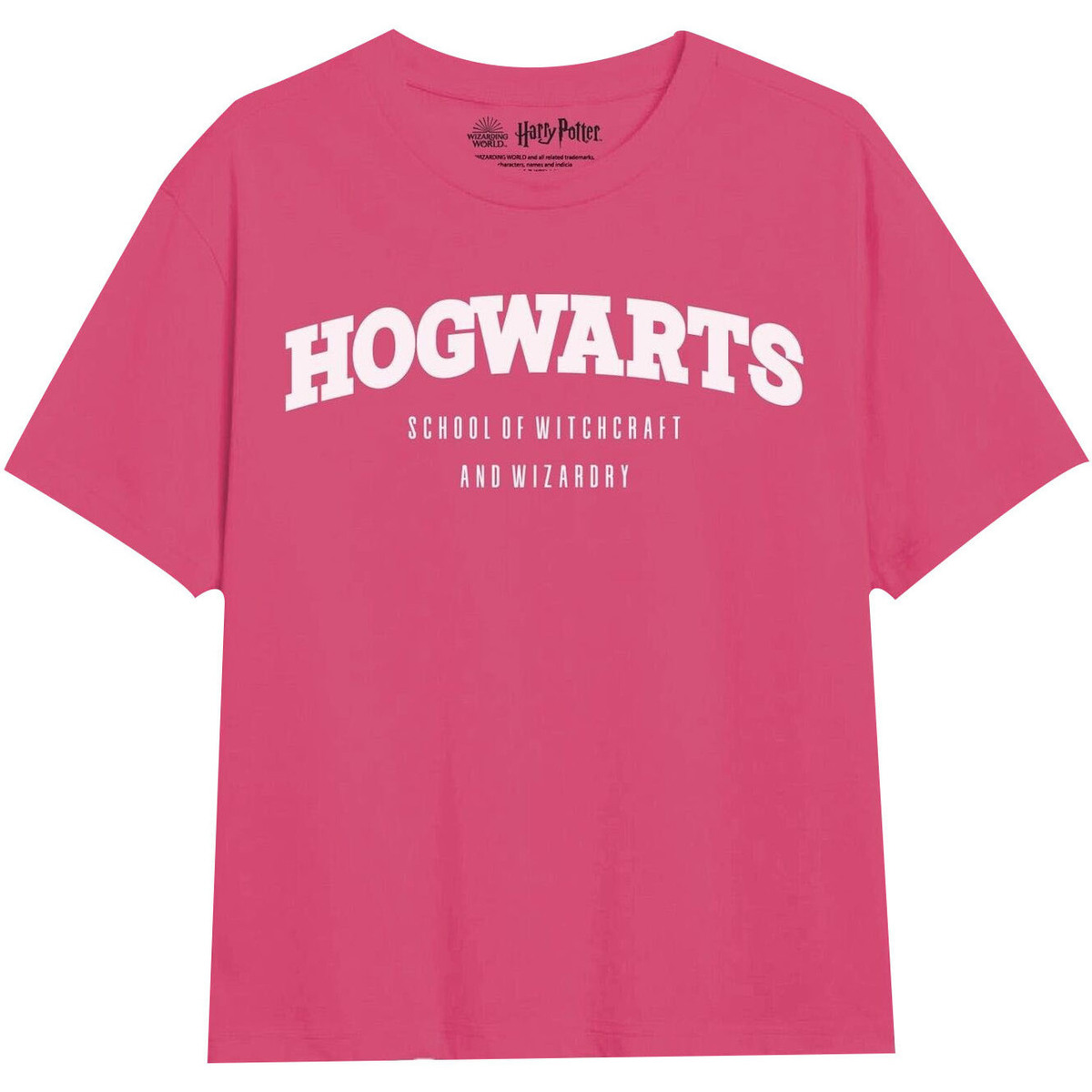 Vêtements Fille T-shirts manches longues Harry Potter School Multicolore