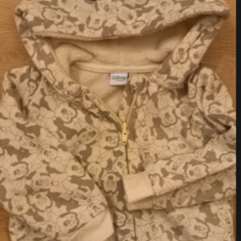 Vêtements Enfant Adaptive Girls Letterman Sweatshirt Rugiada-print Disney gilet Gris