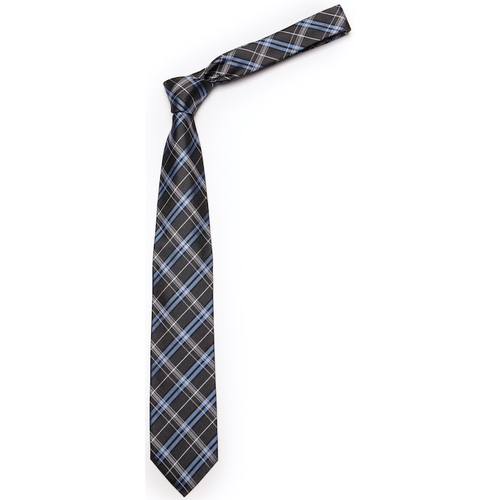 Vêtements Homme Vent Du Cap Trussardi cravate homme 100% soie rayé Noir-Bleu