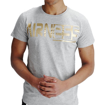Vêtements Homme T-shirts manches courtes Airness 1AL/2/1/68 Gris