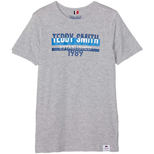 Vêtements Garçon T-shirts manches courtes Teddy Smith 61006028D Gris