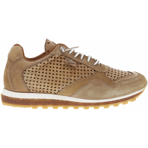 Chaussures Homme Baskets mode Cetti Baskets basses cuir Marron