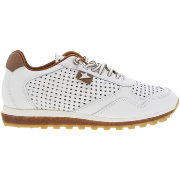 Chaussures Homme Baskets mode Cetti Baskets cuir Blanc