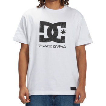 Vêtements Homme T-shirts & Polos DC Shoes Star Wars X DC Star Wars Darkside ADYZT05140-WBB0 Blanc