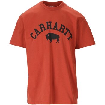 Vêtements Homme T-shirts & Polos Carhartt S/S Locker Orange