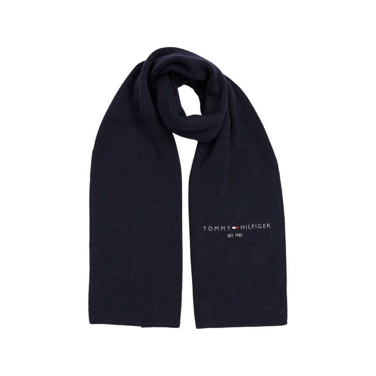 Accessoires textile Homme Echarpes / Etoles / Foulards Tommy Badge Hilfiger horizon flat knit scarf Bleu