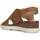 Chaussures Femme Sandales sport Geox D Pisa Sandals Marron