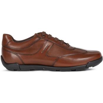 Chaussures Homme Baskets basses Geox Edgware Cognac Flats Marron
