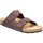 Chaussures Homme Mules Rieker kastanie casual open mules Marron