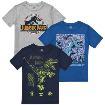 Vêtements Garçon T-shirts manches longues Jurassic Park  Multicolore