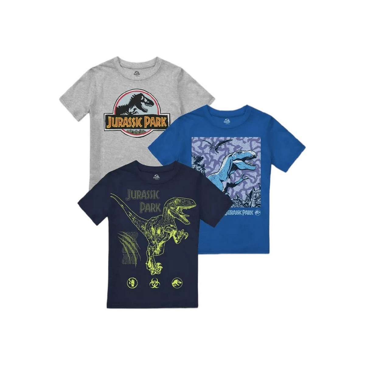 Vêtements Garçon T-shirts manches longues Jurassic Park TV1958 Multicolore