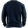 Vêtements Homme Sweats Schott RDC BORD COTES RAYES Bleu