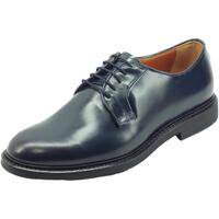 Chaussures Homme Derbies & Richelieu NeroGiardini E302772UE King Bleu