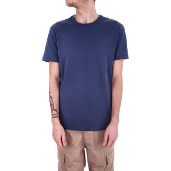 Vêtements Homme T-shirts manches courtes Ralph Lauren 714899647 Bleu