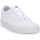 Chaussures Femme Baskets mode Vans W51 WARD W Blanc
