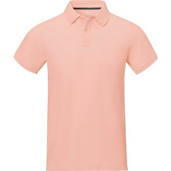Vêtements Homme Polos manches courtes Elevate Calgary Rouge