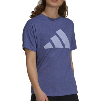 Vêtements Femme T-shirts manches courtes adidas schedule Originals H24143 Violet
