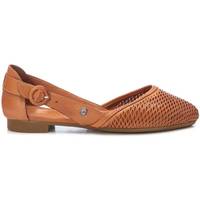 Chaussures Femme Derbies & Richelieu Carmela 16076001 Marron