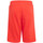 Vêtements Garçon Shorts / Bermudas adidas Originals H32402 Rouge