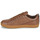 Chaussures Homme Baskets basses Saola CANNON WP Marron