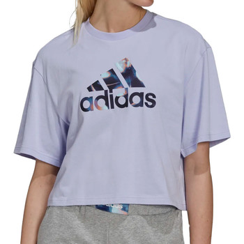 Vêtements Femme T-shirts manches courtes adidas schedule Originals GS3874 Violet