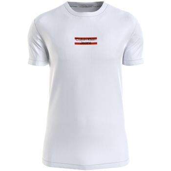 Vêtements Homme T-shirts & Polos Calvin Klein Jeans T shirt homme  Ref 59078 YAF Blanc Blanc