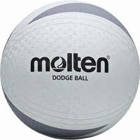 Accessoires Ballons de sport Molten CS1546 Blanc