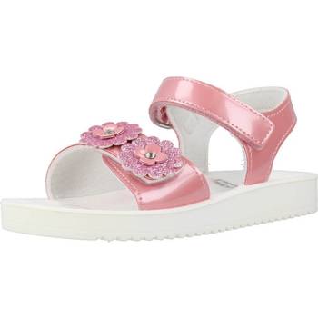 Chaussures Fille Sandales et Nu-pieds Chicco CARTINA Rose