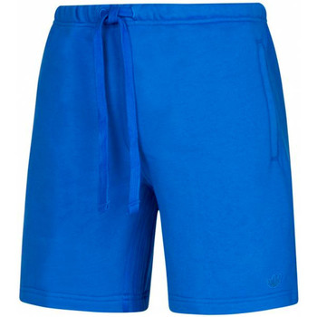 Vêtements Homme Shorts / Bermudas adidas Originals H33446 Bleu