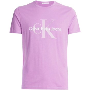 Vêtements Femme T-shirts manches courtes Calvin Klein Jeans J30J320806 Violet