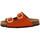 Chaussures Femme Sandales et Nu-pieds Scholl NOELLE LEATHER Orange