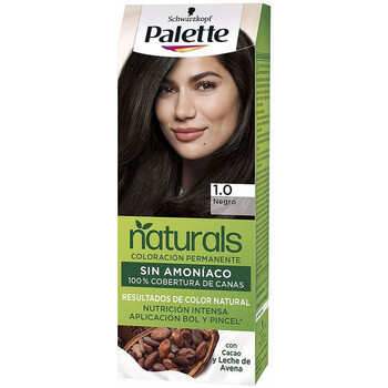 Beauté Femme Soins cheveux Palette NATURAL tinte 10 black 1 u 