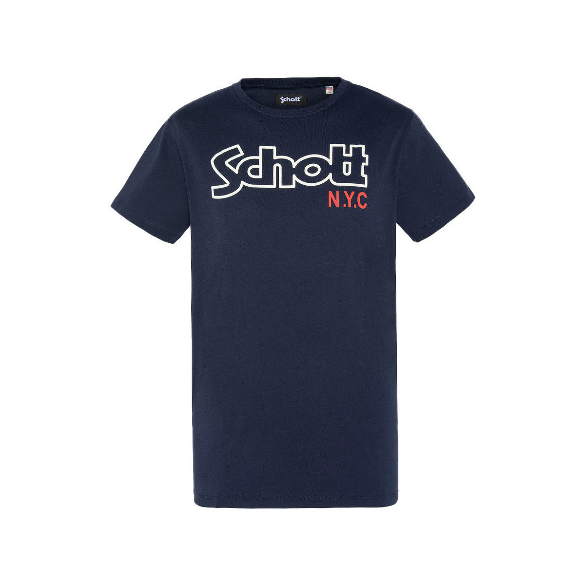 Vêtements Homme T-shirts & Polos Schott TSCREWVINT Bleu