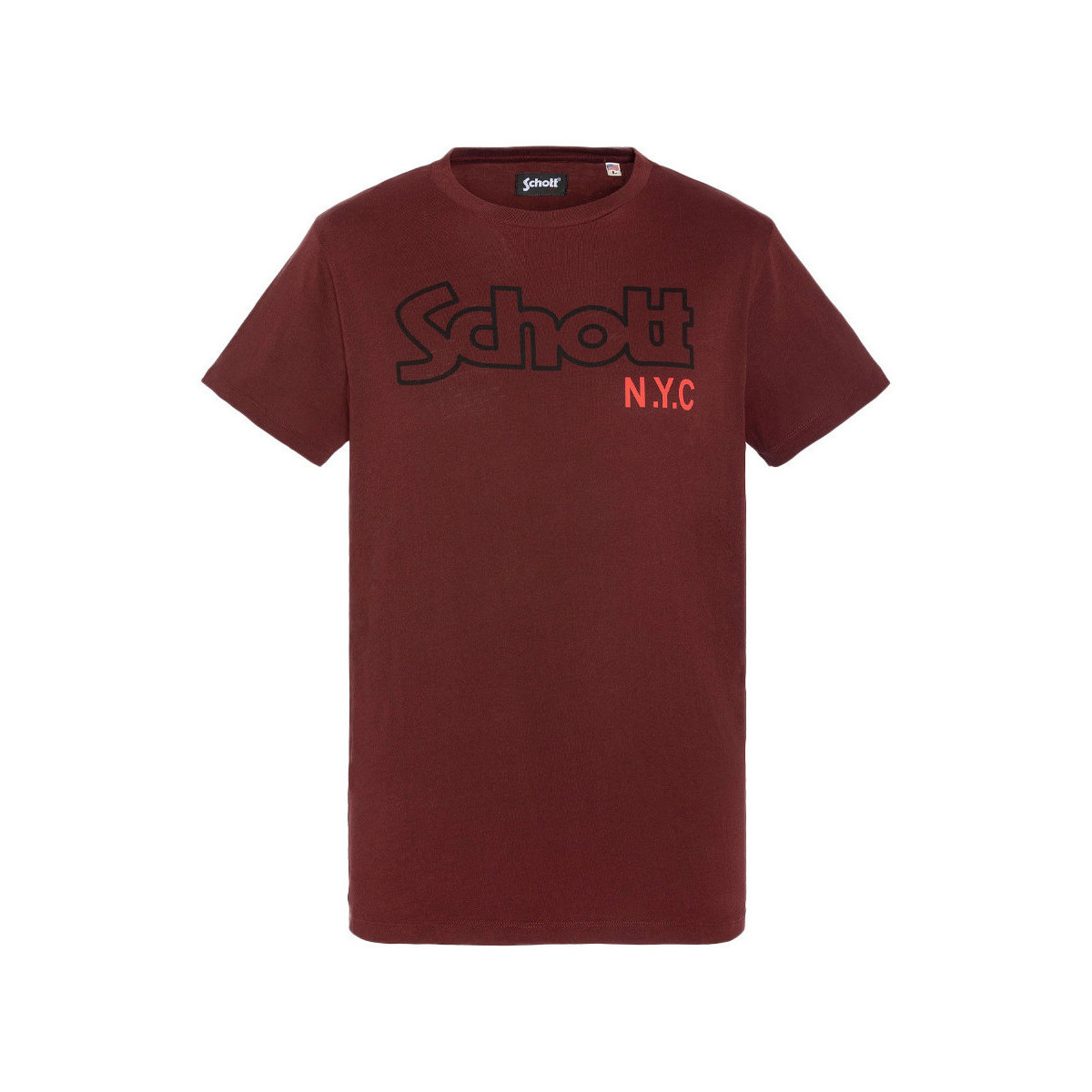 Vêtements Homme T-shirts & Polos Schott TSCREWVINT Rouge