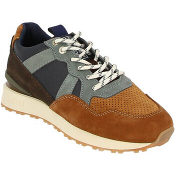 Chaussures Homme Baskets mode Gaastra chase Marron