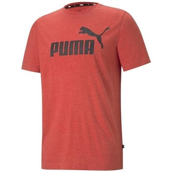 Vêtements Homme T-shirts manches courtes Puma Essentials Orange