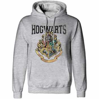 Vêtements Sweats Harry Potter HE1380 Gris