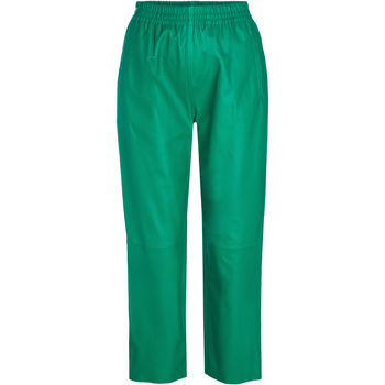 Vêtements Femme Pantalons Pinko 1G15WYY638 Vert