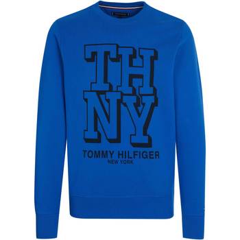 Vêtements Homme Sweats Tommy Hilfiger Pull-over Bleu
