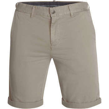 Vêtements Homme Shorts / Bermudas Calvin Klein Jeans chino shorts taupe Gris