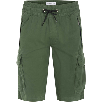 Vêtements Homme Shorts / Bermudas Calvin Klein Jeans Shorts Vert