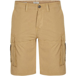Vêtements Homme Shorts / Bermudas Pepe jeans Shorts Marron