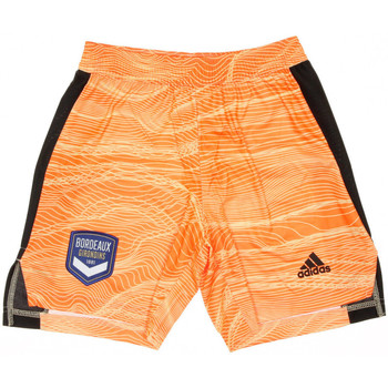 Vêtements Garçon Bodycon Shorts / Bermudas adidas Originals EY4420 Orange